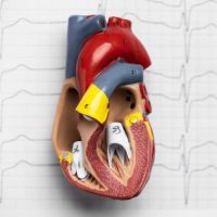 kalp-yetmezliği kalp-yetmezliği